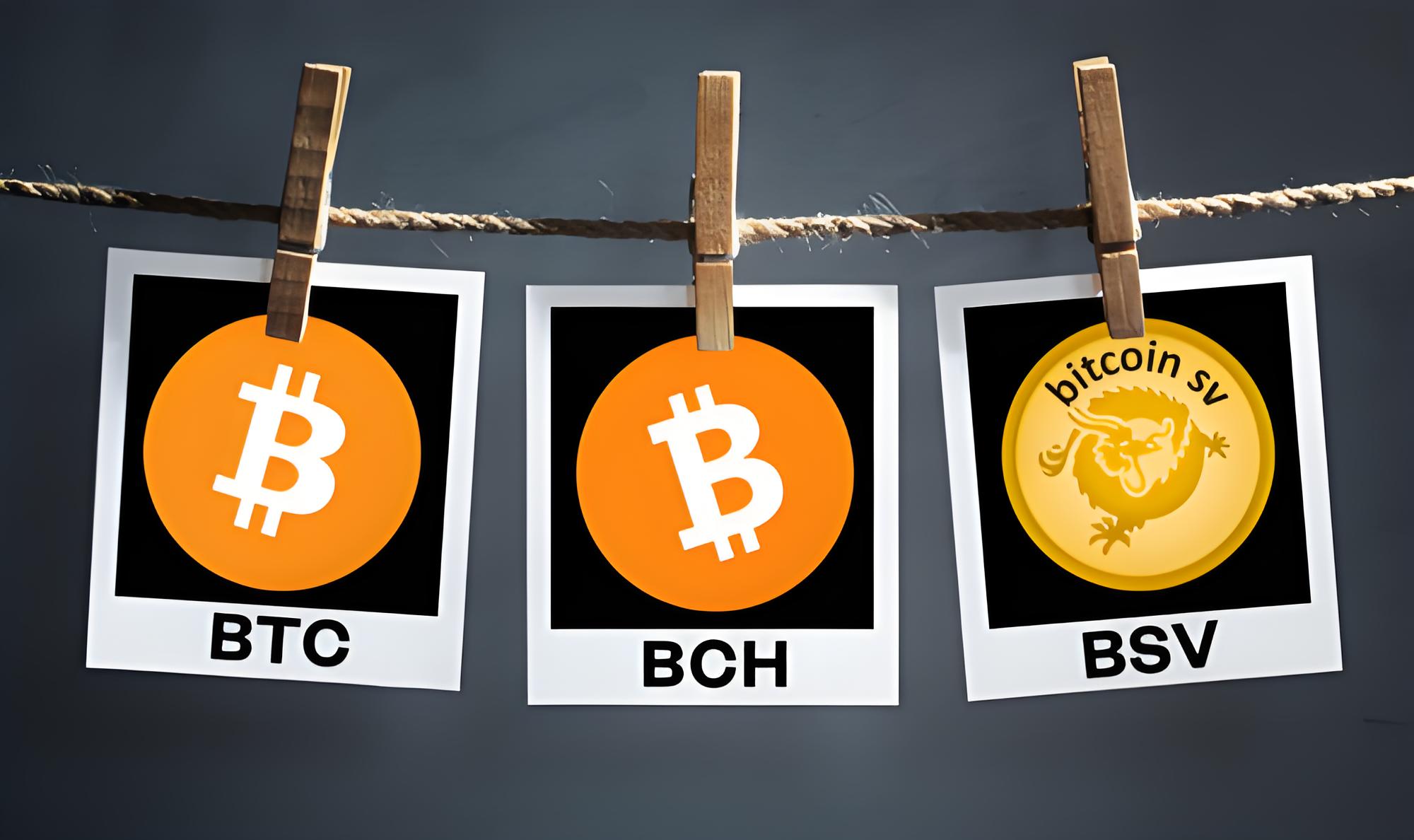 OYI App下载安全吗？从官方渠道入手，全面解析其功能与风险